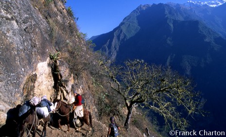 Choquequirao03