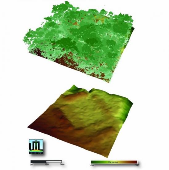 cite-d-or-ciudad-blanca-lidar-honduras.jpg