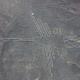 Des géoglyphes-oiseaux de Nazca identifiés