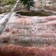 Colombie : des milliers de pétroglyphes de 12500 ans découverts