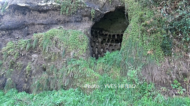 Columbarium acores terceira