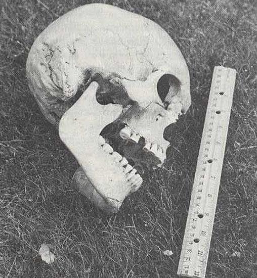 Les mystères des Anciens Géants