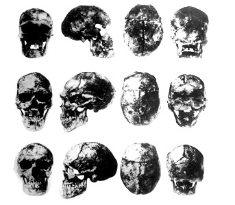 Czechskulls35000bc