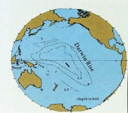 Darwinrise 1now