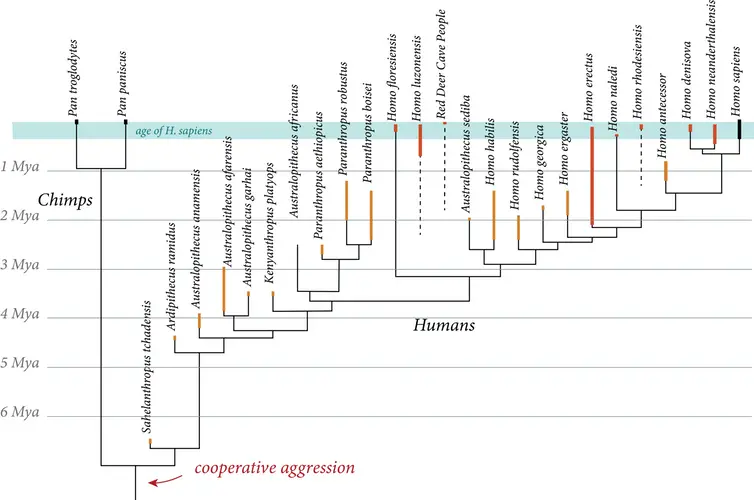 Evolutionhumaine