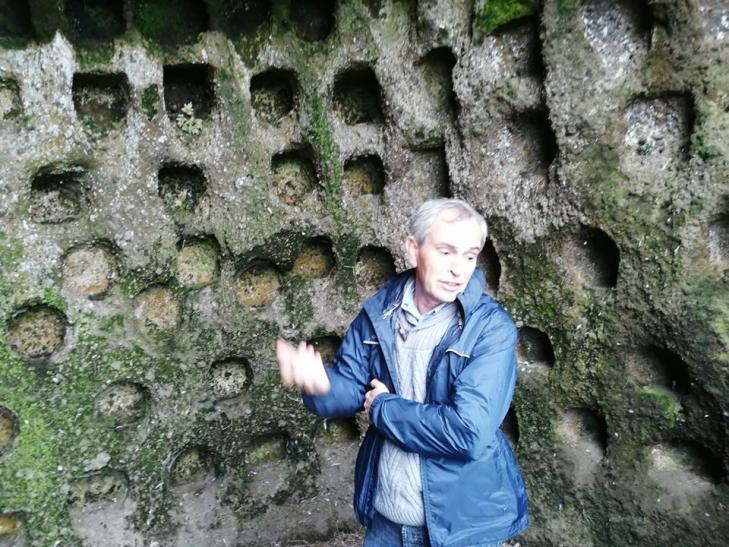 Felix columbarium acores fort lo