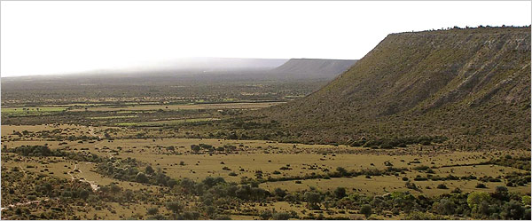 Fenambosy chevron madagascar