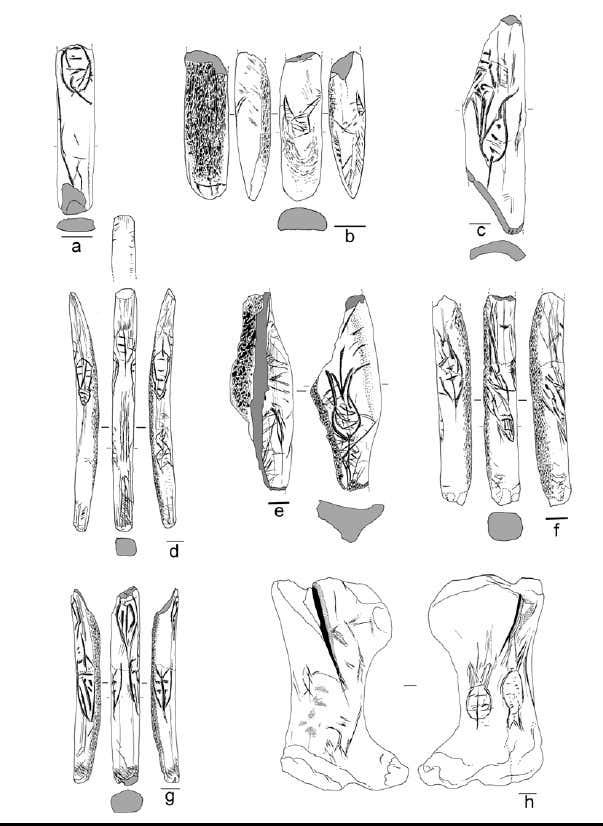 Figure 18 motifs en forme de feuille et de rave de rochereil musee national deprehistoire