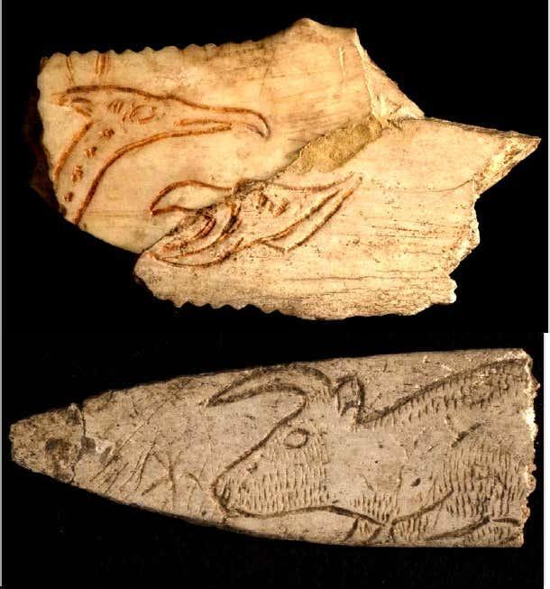 Langage des signes au Magdalénien il y a 14000 ans cal BP