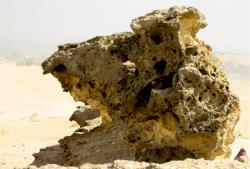 fossile-creature-4.jpg