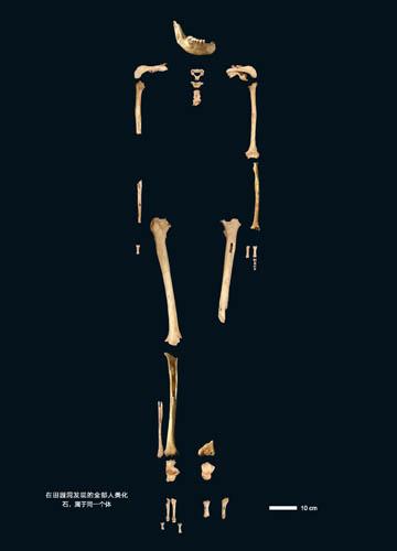 Genome tianyuan man