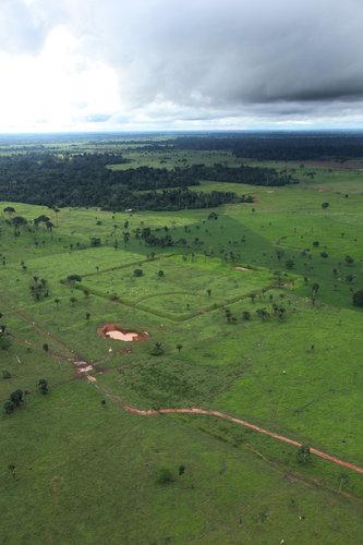 Des hommes installés en Amazonie il y a plus de 10000 ans