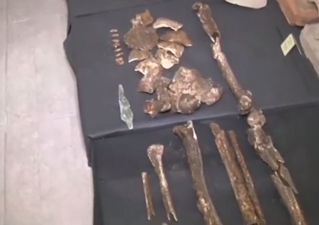 Giant skeleton silihlyar primorsko bulgaria exposition