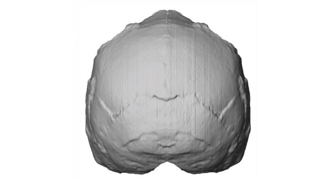 Grece apidima1 homosapiens