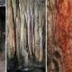 Néandertalien: Art rupestre espagnol confirmé, groupes sanguins