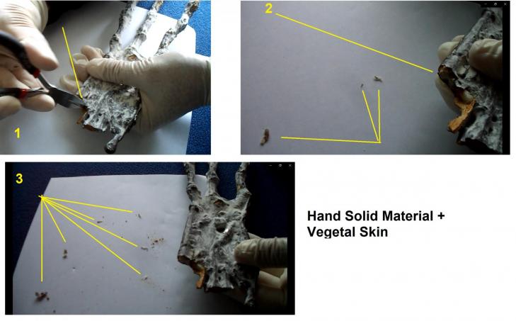 Hand solid material vegetal skin