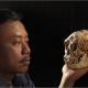 Homo Floresiensis, dit le Hobbit, avait un plus gros cerveau que prévu