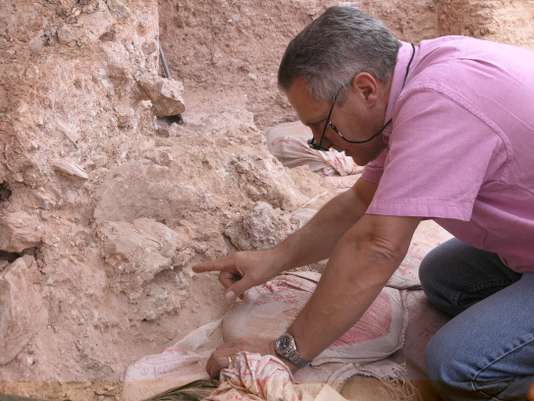 Homosapiens maroc