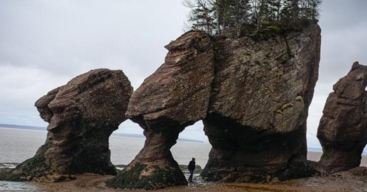 Hopewellrocks canada