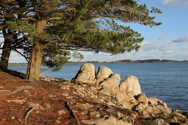 Ileberder morbihan restesdolmen1