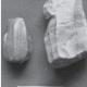 Des outils du microlithique datés de 10000 ans trouvés en Inde