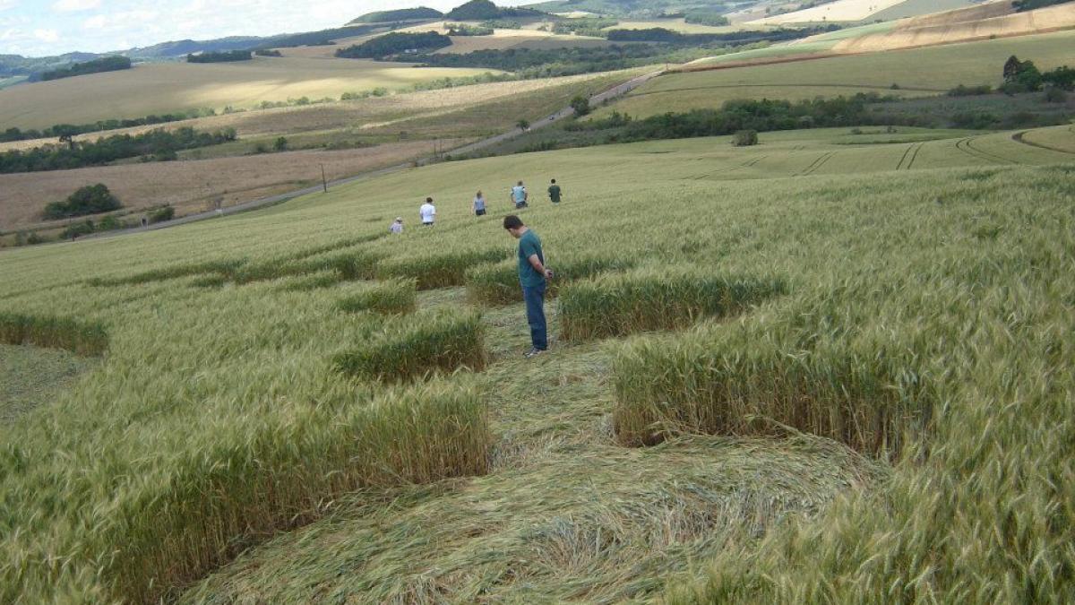 Un Crop-Circle géant au Brésil le 12 octobre 2012