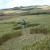 Un Crop-Circle géant au Brésil le 12 octobre 2012