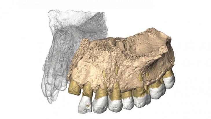 Israel modern humans