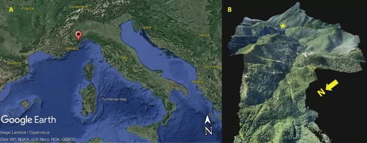 Italie armaveirana fig1 html