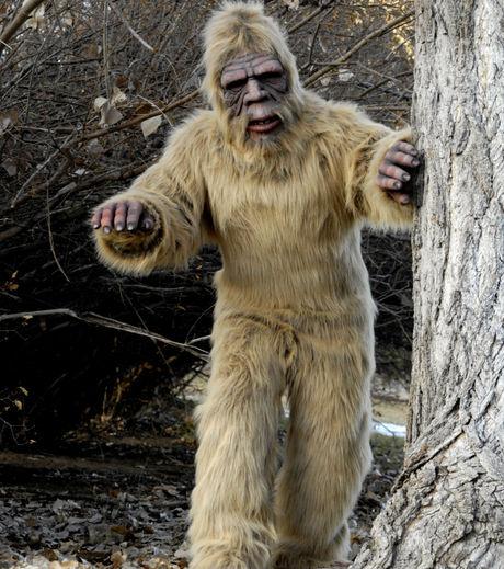 Le Yéti existerait bien et serait en partie humain