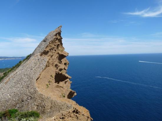 La ciotat becaigle