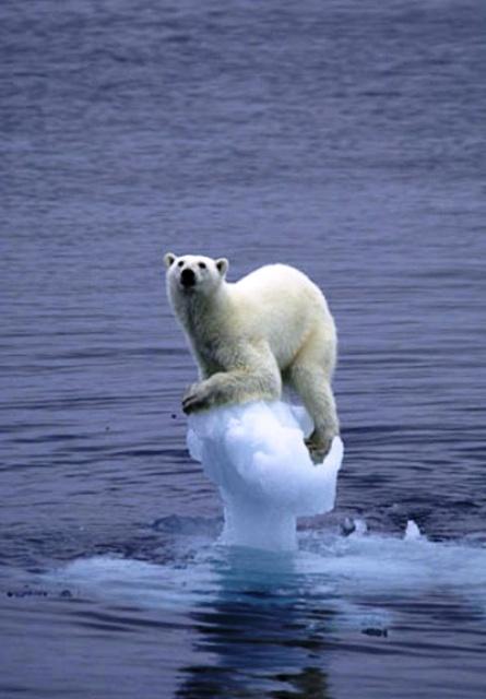 Climat: changements brutaux et effets en cascade