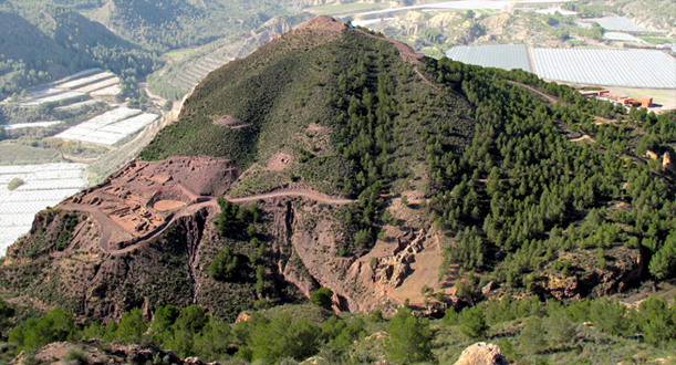 Labastida tercia totana