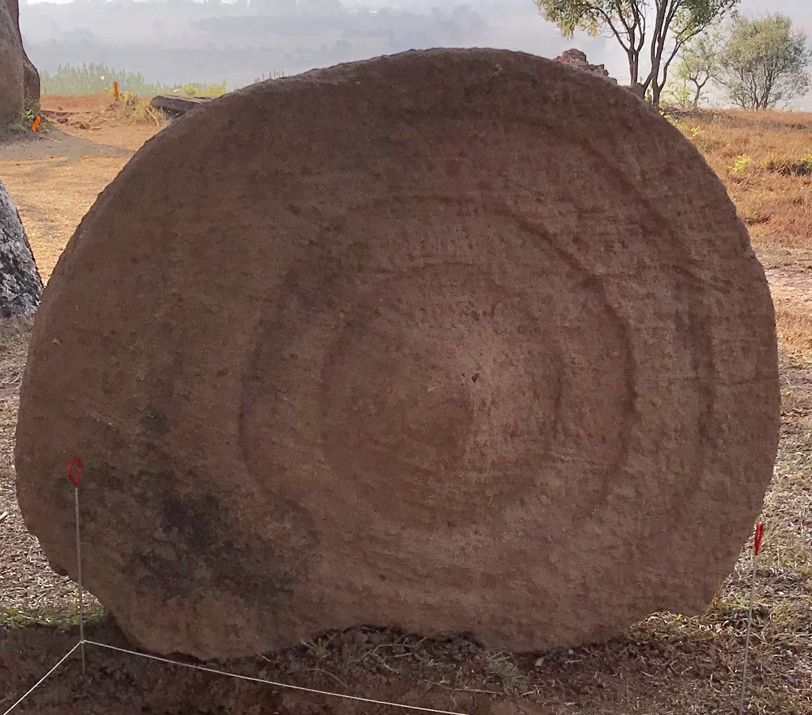 Laos disc serpent