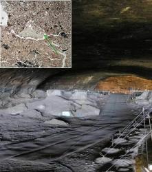 les-scientifiques-ont-observe-des-traces-d-os-brules-dans-la-grotte-wonderweck-en-afrique-du-sud-credits-m-chazan-p-goldberg-45661-w460.jpg