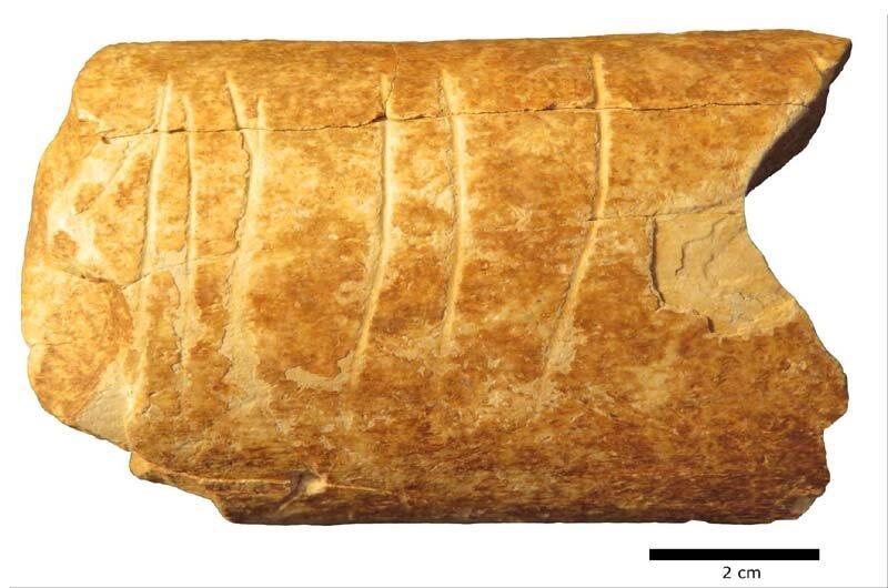 Levant : Des symboles gravés de 120 000 ans ?