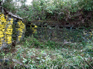 llactapata-ruinesjungle2009b.jpg