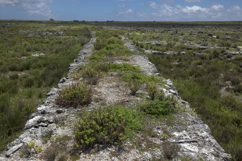 Malden ruines4