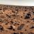 Une nouvelle étude dit que la vie a déjà été trouvée sur Mars en 1976 !