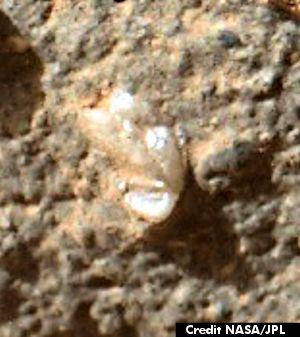 Des Comètes, des Astéroïdes et une Fleur pour Curiosity ?