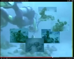 L'Exode des Hébreux d'Egypte a-t-il existé ?