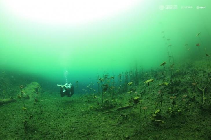 Mexique cenote1