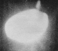 Déclassification de documents secrets sur les ovnis en juin au Brésil