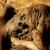 Un apprenti archéologue de 13 ans trouve une momie de 7000 ans au Chili