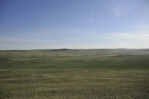 mongolie-steppe.jpg