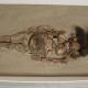 Les plus anciennes momies du monde deviennent de la boue noire