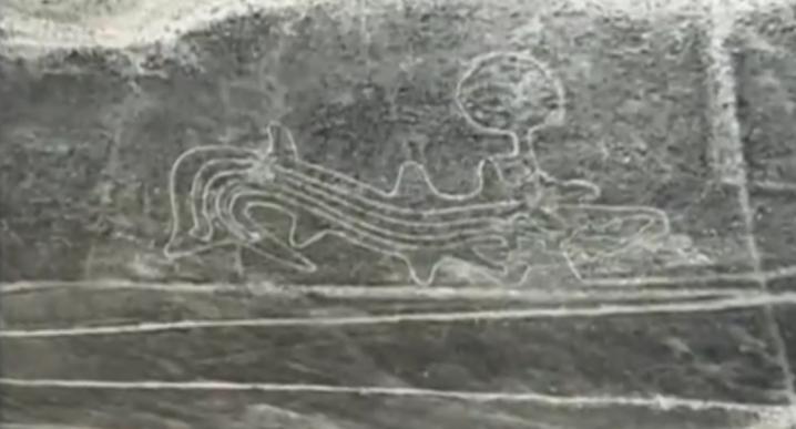 Nasca baleine