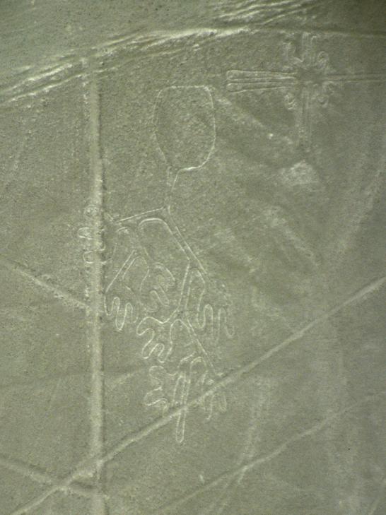 Nazca glyphe