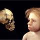 Néanderthal savait faire de très belles parures