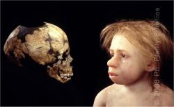 neandertal-enfant-daynes-01.jpg